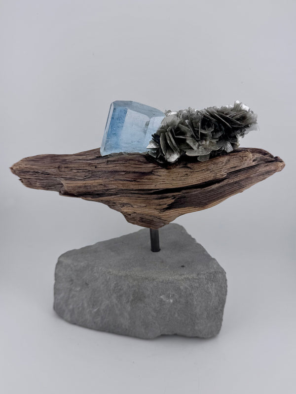 Aquamarin mit Muskovit auf Bodenseeschwemmholz – EF